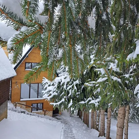 Zagorka And Mountain A, M, D Apartament Kopaonik