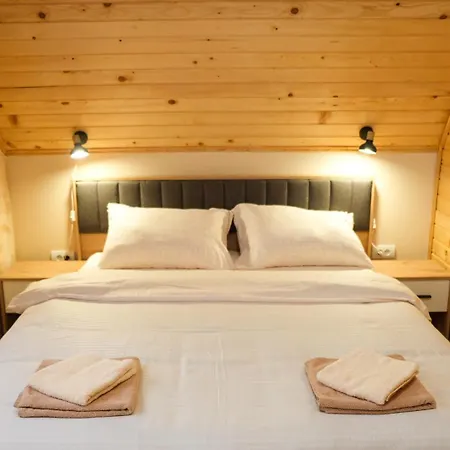 Zagorka And Mountain A, M, D *